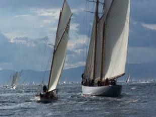 [Immagine: 2009325191741_100_0511a.jpg]